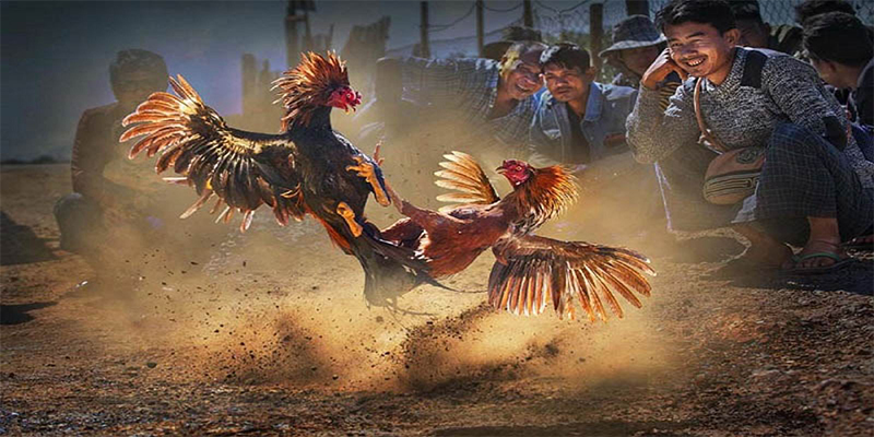 vietjack 10 chơi bắn cá đổi thưởng