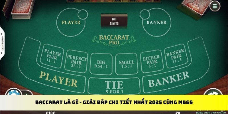 vietjack 10 gà chọi cu cần