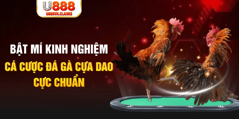 vietjack 10 tỷ lệ cá cược châu á là gì
