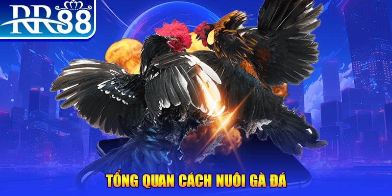 vietjack 10 VA Điện Tử