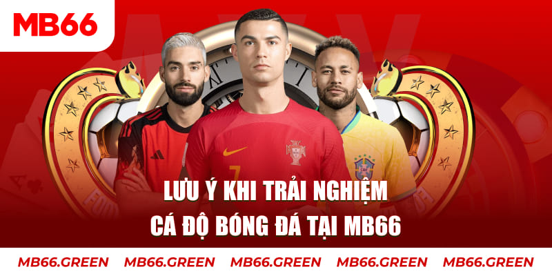 vietjack 10 cá cược là gì
