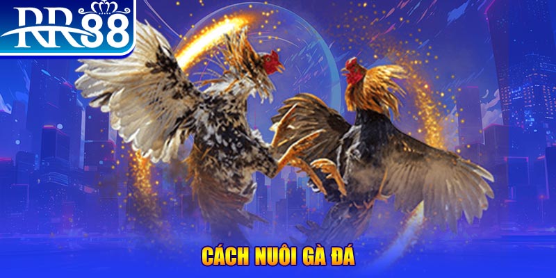 vietjack 10 xổ số an giang
