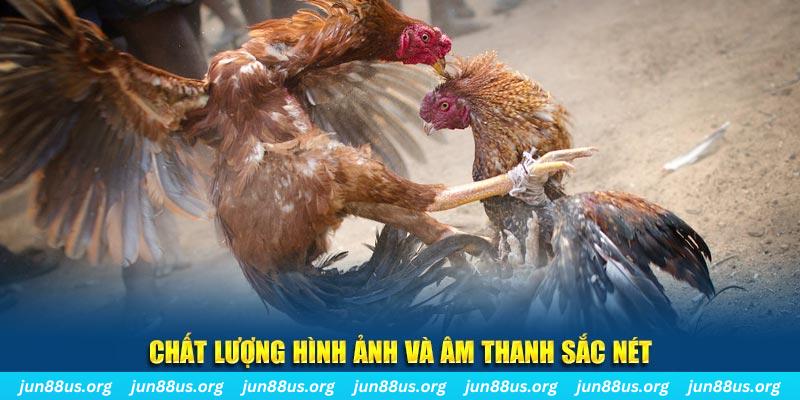 vietjack 10 đăng nhập roulette live