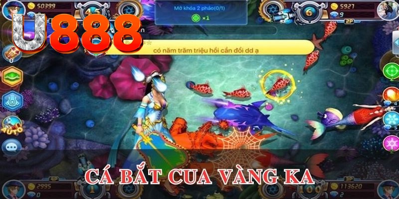vietjack 10 kết quả xổ số hôm nay