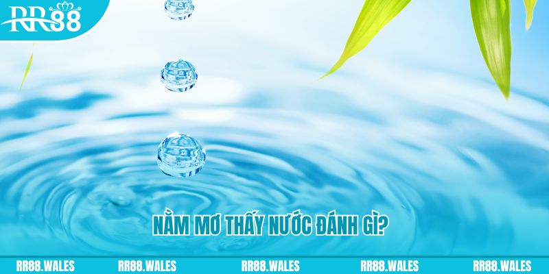 vietjack 10 TP Bắn cá
