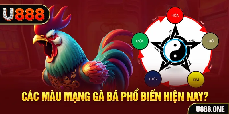 vietjack 10 trực tiếp đá gà 88