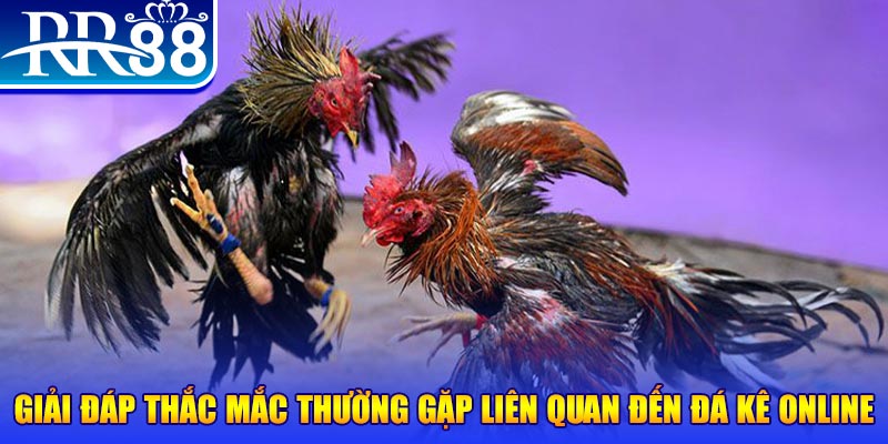vietjack 10 slot machine là gì