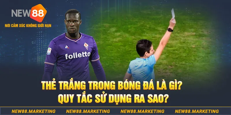 vietjack 10 gà chọi mộc hóa