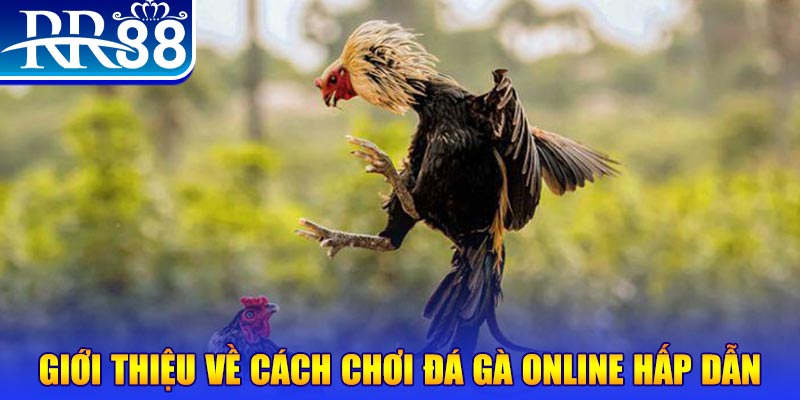 vietjack 10 game nổ hũ rút tiền mặt là gì