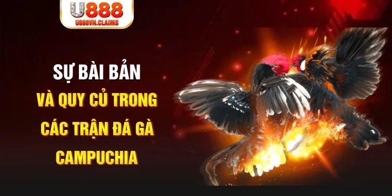vietjack 10 YGR Điện Tử