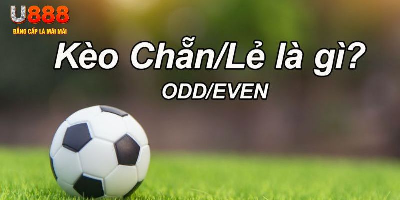 vietjack 10 đăng nhập poker hôm nay