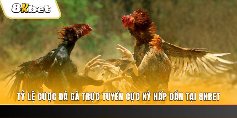 vietjack 10 đăng nhập phỏm trực tiếp
