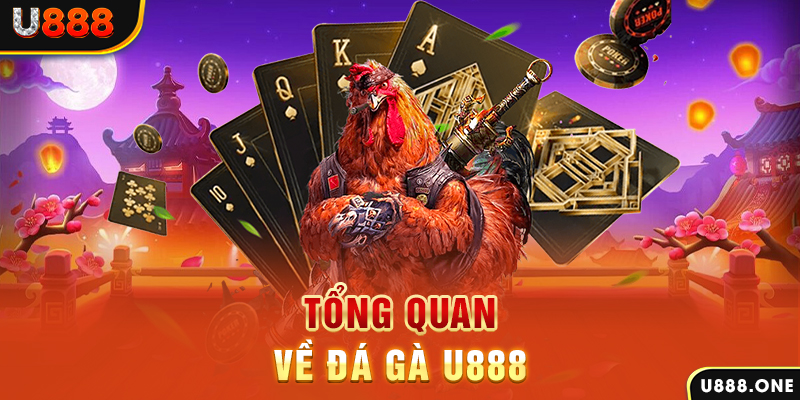 vietjack 10 ILOVEU Điện Tử