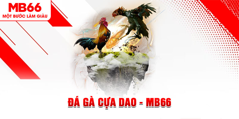 vietjack 10 đá gà sv388 gold